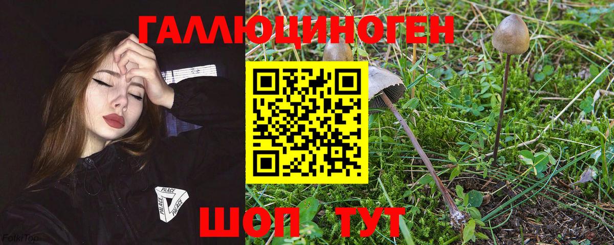Псилоцибиновые грибы мухоморы Богородицк